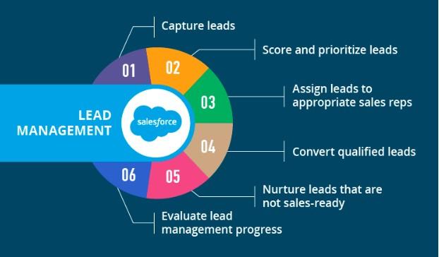Lead Management Cycle