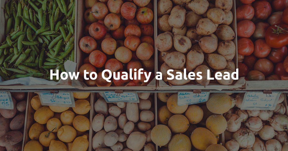 Lead Qualification 101: How to Identify the Best Sales Leads